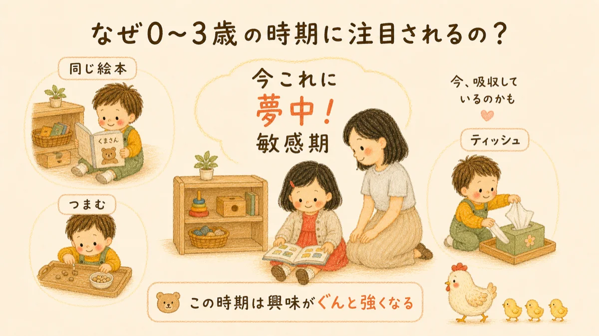 0〜3歳は「今これに夢中!」の敏感期。同じ絵本・つまむ・ティッシュなど、興味がぐんと強くなる時期