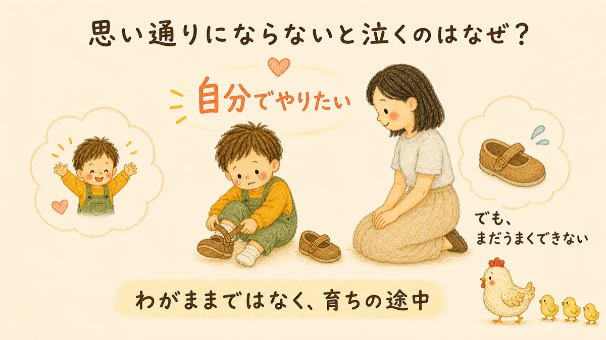 1歳が思い通りにならないと泣くのは、自分でやりたい気持ちとまだうまくできないもどかしさが重なる育ちの途中