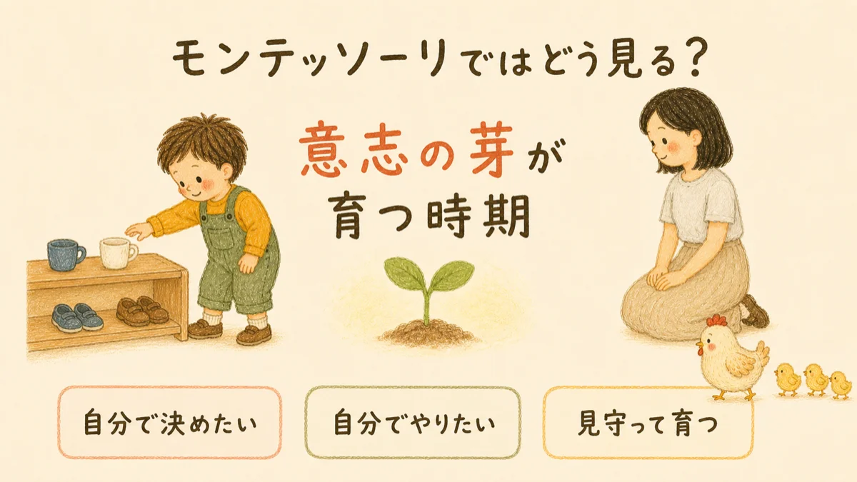 モンテッソーリでは、自分で決めたい・自分でやりたい気持ちを意志の芽として見守る